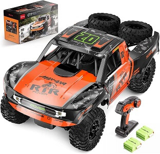 Bwine C11 RC Car